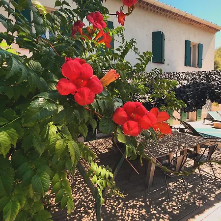 Villavos- Le Bocage - Ancienne Bastide Au Charme Authentique - Piscine Et Jardin Prives - 12 Pers -