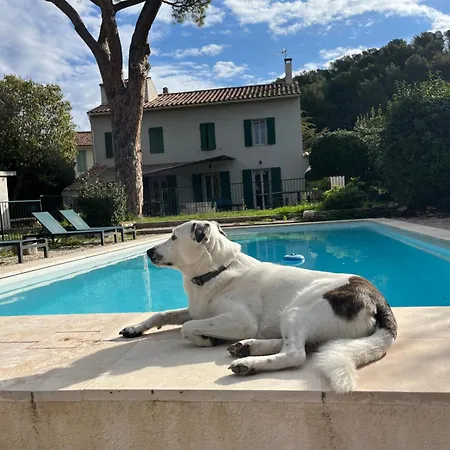 Villavos- Le Bocage Villa