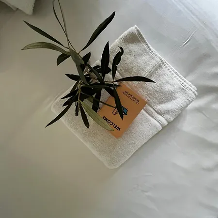 Villavos- Le Bocage * Cassis