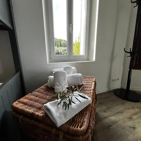 Villavos- Le Bocage カシ