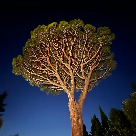 Villavos- Le Bocage Villa *