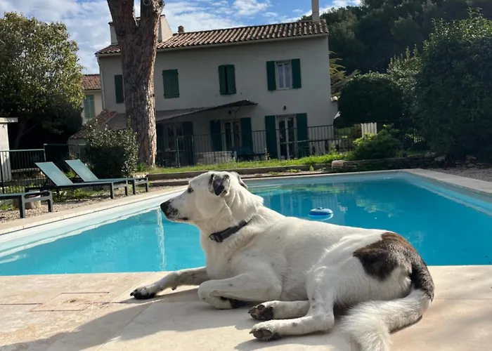 Villavos- Le Bocage Villa