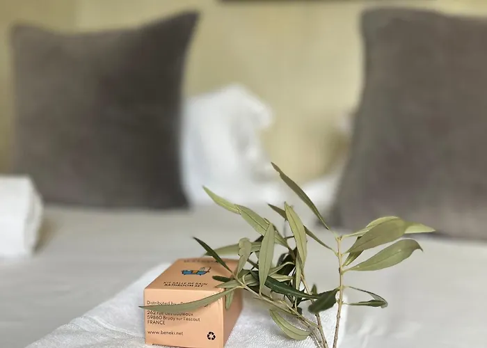 Villavos- Le Bocage Villa Cassis