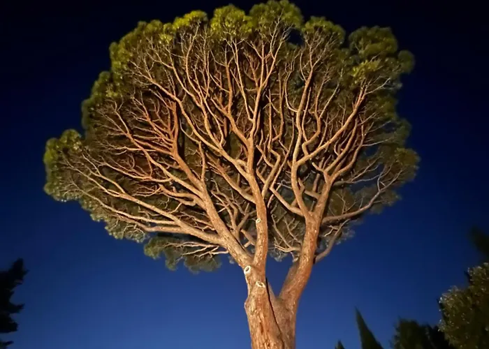 Villavos- Le Bocage Villa *